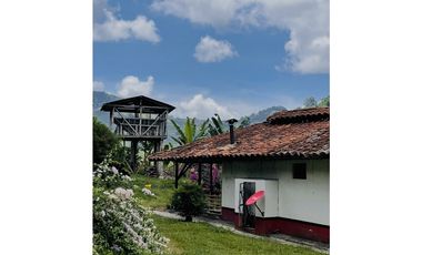 Se Vende Finca Cafetera En Caicedonia 9160138