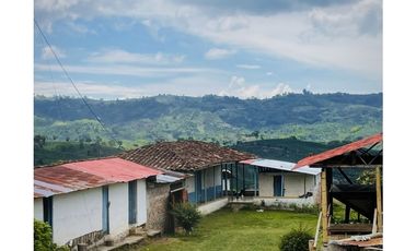 Se Vende Finca Cafetera En Caicedonia 9160138