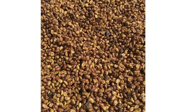 Se Vende Finca Cafetera En Caicedonia 9160138