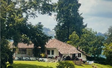 Se Vende Finca Cafetera En Caicedonia 9160138