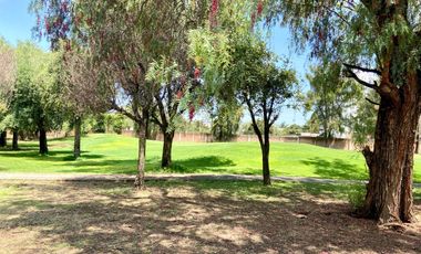 Casa en RENTA CLUB DE GOLF LOS NARANJOS