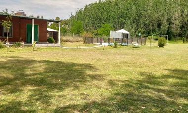 Quinta en venta en Brandsen