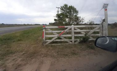 Ruta 11 km 355 (2204), Iriondo, Santa Fe, Argentin