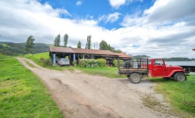 Hacienda en Venta en Tarqui, Cuenca, Azuay - 64,8 Hectareas - Hacienda Ganadera