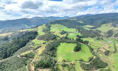 Hacienda en Venta en Tarqui, Cuenca, Azuay - 64,8 Hectareas - Hacienda Ganadera