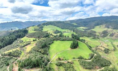 Hacienda en Venta en Tarqui, Cuenca, Azuay - 64,8 Hectareas - Hacienda Ganadera