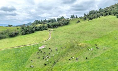 Hacienda en Venta en Tarqui, Cuenca, Azuay - 64,8 Hectareas - Hacienda Ganadera