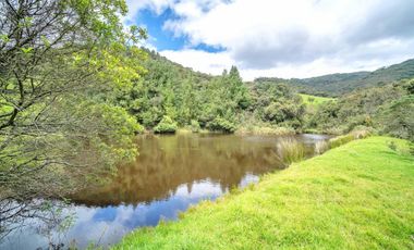 Hacienda en Venta en Tarqui, Cuenca, Azuay - 64,8 Hectareas - Hacienda Ganadera