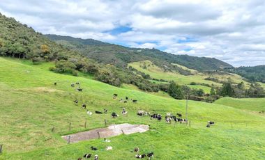 Hacienda en Venta en Tarqui, Cuenca, Azuay - 64,8 Hectareas - Hacienda Ganadera