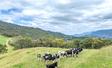 Hacienda en Venta en Tarqui, Cuenca, Azuay - 64,8 Hectareas - Hacienda Ganadera