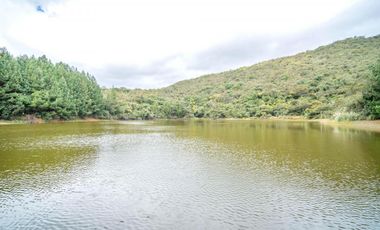 Hacienda en Venta en Tarqui, Cuenca, Azuay - 64,8 Hectareas - Hacienda Ganadera