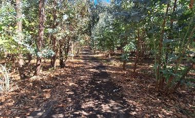 Parcela en Venta en El Pino,Laja