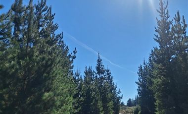 Parcela en Venta en El Pino,Laja