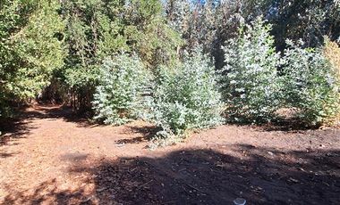 Parcela en Venta en El Pino,Laja