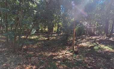 Parcela en Venta en El Pino,Laja