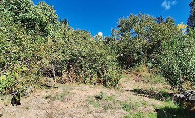 Parcela en Venta en El Pino,Laja