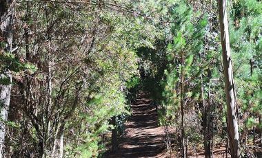 Parcela en Venta en El Pino,Laja