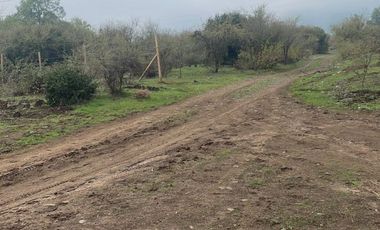 SE VENDE PARCELA 5000MTR2 LAGO MANCHICURA COLBUN