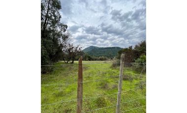 SE VENDE PARCELA 5000MTR2 LAGO MANCHICURA COLBUN