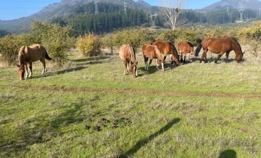 SE VENDE PARCELA 5000MTR2 LAGO MANCHICURA COLBUN
