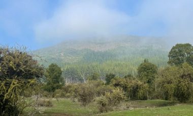 SE VENDE PARCELA 5000MTR2 LAGO MANCHICURA COLBUN
