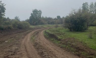 SE VENDE PARCELA 5000MTR2 LAGO MANCHICURA COLBUN
