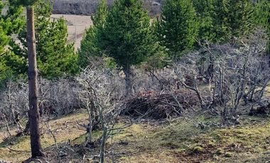 Patagonia, 2.5ha cercanas a Puerto Guadal
