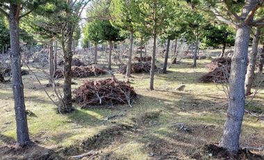 Patagonia, 2.5ha cercanas a Puerto Guadal
