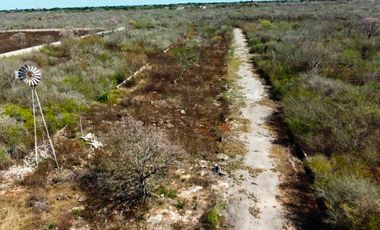 Lote en venta, Conkal, Yucatán