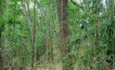 Terreno en venta en Conkal, Merida Yucatan