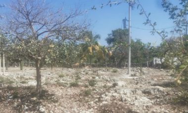 Terreno en venta Tetiz, Yucatan