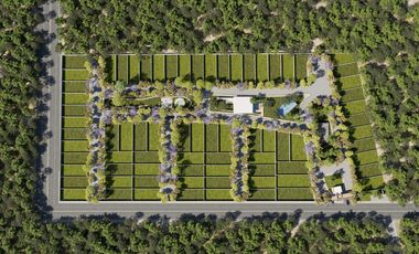 Terreno habitacional en venta Conkal, Yucatan
