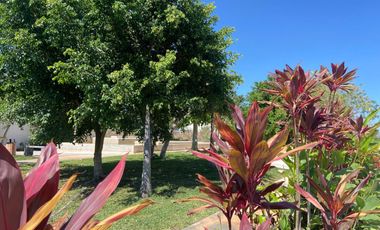 VENTA DE TERENO EN CONKAL MERIDA YUCATAN