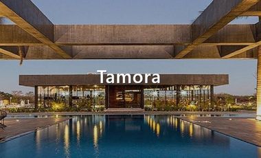 VENTA DE TERENO EN CONKAL MERIDA YUCATAN