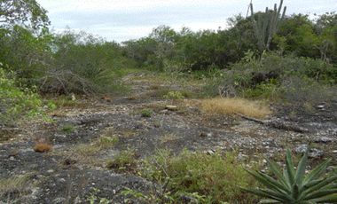 Terreno en Venta en Conkal, Merida Yucatán
