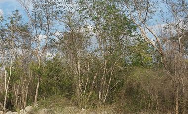 Terreno en Venta en Conkal, Merida Yucatán