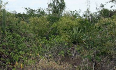 Terreno en Venta en Conkal, Merida Yucatán