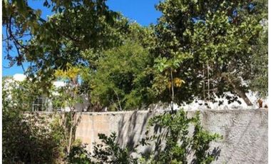 Venta Terreno frente al mar 8x35m en Celestun,Yucatan, México