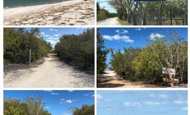 Venta Terreno frente al mar 8x35m en Celestun,Yucatan, México