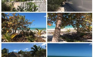 Venta Terreno frente al mar 8x35m en Celestun,Yucatan, México