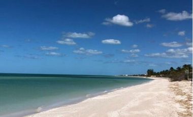 Venta Terreno frente al mar 8x35m en Celestun,Yucatan, México