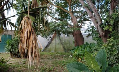 SE VENDE HACIENDA EN MERIDA YUCATAN