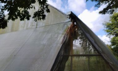 SE VENDE HACIENDA EN MERIDA YUCATAN