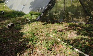 SE VENDE HACIENDA EN MERIDA YUCATAN