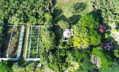 SE VENDE HACIENDA EN MERIDA YUCATAN