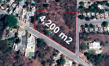 TERRENO EN VENTA EN CONKAL MERIDA YUCATAN