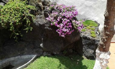 CASA EN VENTA, EJIDOS DE PADIERNA.