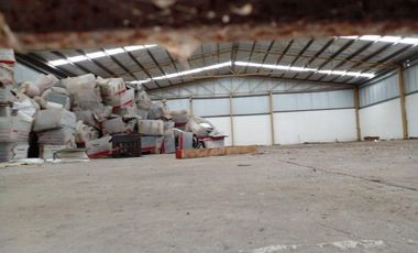 Bodega en renta bruno pagliali
