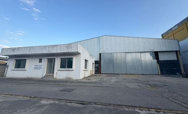 Bodega en renta bruno pagliali