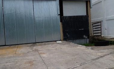 Bodega en renta bruno pagliali